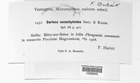Image Associated With the Occurence